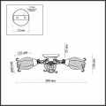 Потолочная люстра Ameli 2252/3C от Odeon Light (2)