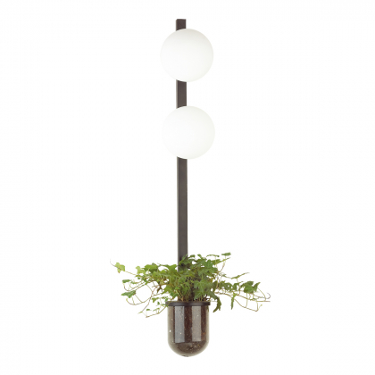 Настенный светильник Flower 4681/2WA Odeon Light