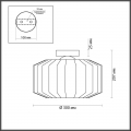 Светильник потолочный Binga 4746/1C Odeon Light (5)