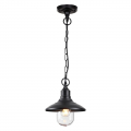 Уличный подвесной светильник 4965/1 Campa Odeon Light (2)