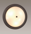 Настенно-потолочный светильник 5260/3C Nina Lumion (3)