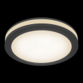 Встраиваемый светильник Phanton DL303-L12B4K Maytoni (3)
