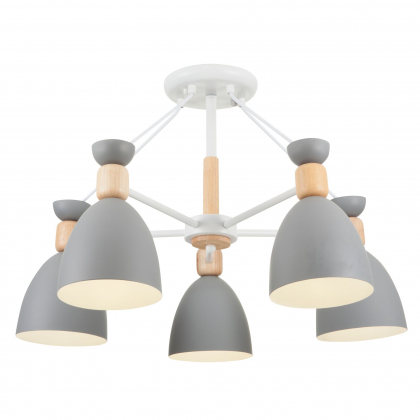 Потолочный светильник Delia FR5033CL-05W Freya