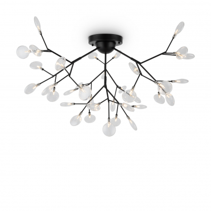 Потолочная люстра  Florencia FR5049CL-36B Freya