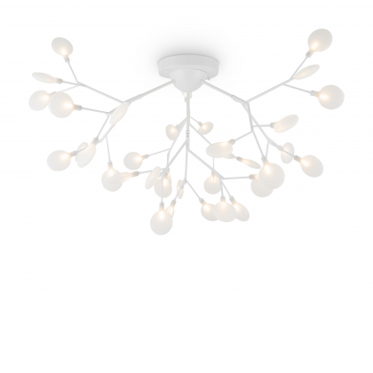 Потолочная люстра  Florencia FR5049CL-36W1 Freya