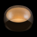 Потолочный светильник Solen MOD074CL-L13B3K Maytoni (2)