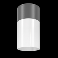 Потолочный светильник Willis O418CL-01GR Maytoni (2)