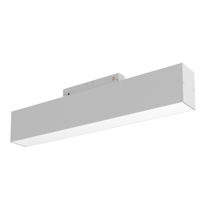 Трековый светильник BASIS TR012-2-12W3K-W Maytoni