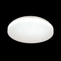 Настенно-потолочный светильник 3050/CL Smalli Сонекс (2)