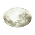 Настенно-потолочный светильник Луна 3084/EL Moon Сонекс (4)