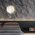 Настенно-потолочный светильник Луна 3084/DL Moon Сонекс (4)