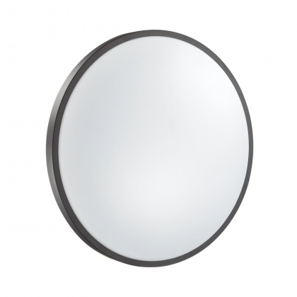 Настенно-потолочный светильник 3012/DL Smalli Сонекс