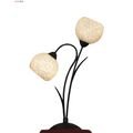 Настольная лампа декоративная Bagheria LSF-6294-02 от Lussole