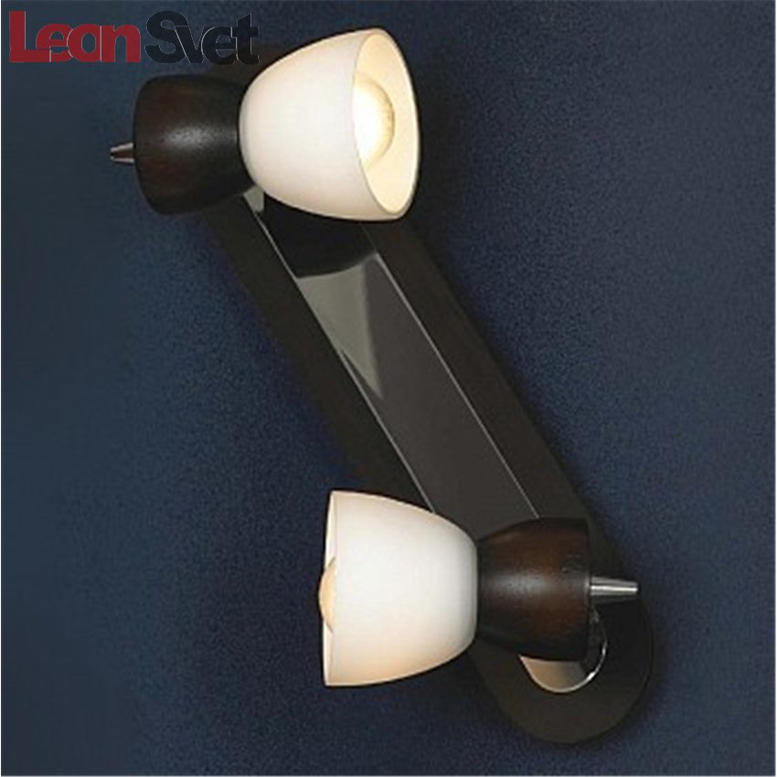 Спот Messina LSL-8201-02 от Lussole