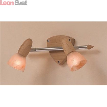 Спот Монте CL505521 от Citilux