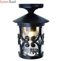 Накладной светильник Persia 1 A1453PF-1BK от Arte Lamp
