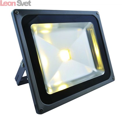 Настенный прожектор Faretto A2550AL-1GY от Arte Lamp