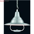 Подвесной светильник Pendants 1 A3638SP-1SS от Arte Lamp