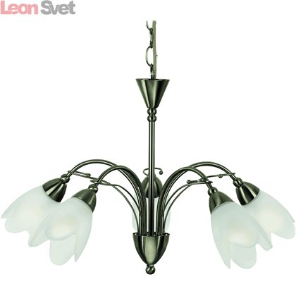Подвесная люстра Petal A4905LM-5AB от Arte Lamp