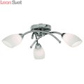 Потолочная люстра Opal A8186PL-3CC от Arte Lamp