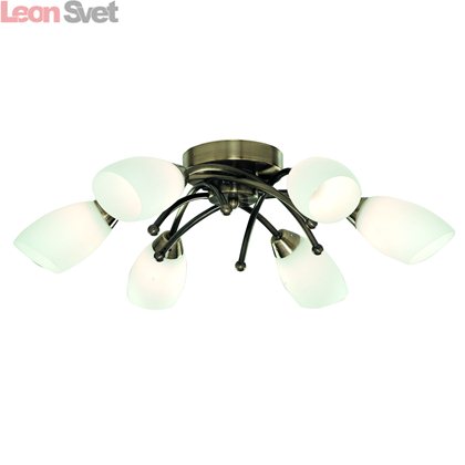 Потолочная люстра Opal A8186PL-6AB от Arte Lamp