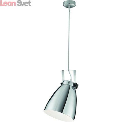 Подвесной светильник Studio A8606SP-1CC от Arte Lamp