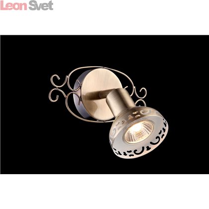 Спот FOCUS A5219AP-1AB