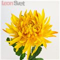 Газонный светильник на солнечной батарее 06269 PL309 от Feron (2)