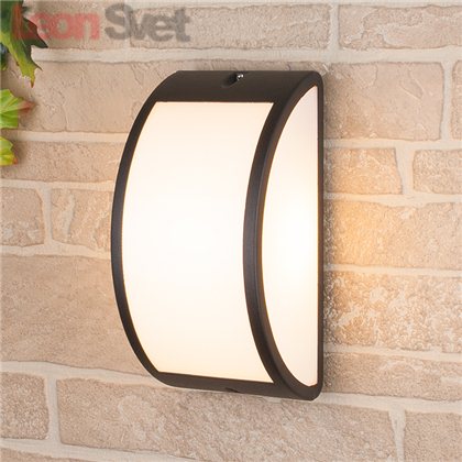 Настенный уличный светильник Techno black 1306 Elektrostandard