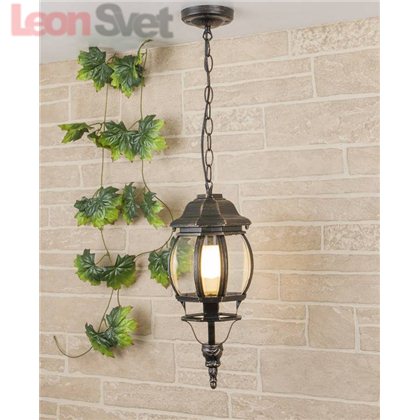 Подвесной уличный светильник Classic 1001 6022 Elektrostandard