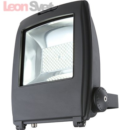 Прожектор Globo 34222 из серии Projecteur I