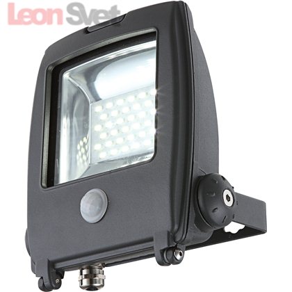 Прожектор Globo 34219S из серии Projecteur I