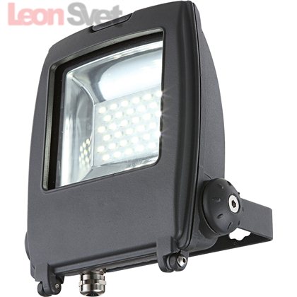 Прожектор Globo 34219 из серии Projecteur I