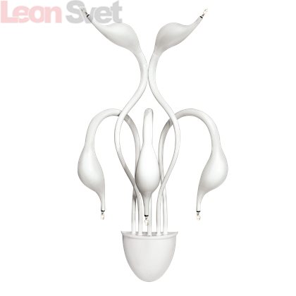 Бра Cigno Collo 751656 от Lightstar