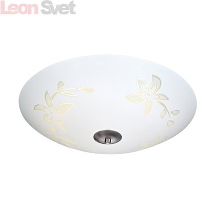 Настенно-потолочный светильник 106412 Solara от Markslojd