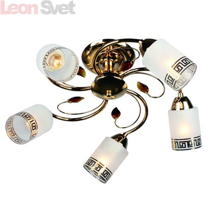 Потолочная люстра OML-36817-05 от Omnilux