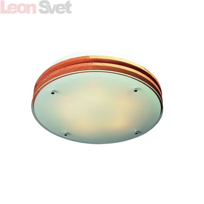 Накладной светильник OML-40317-05 от Omnilux