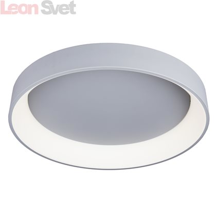 Накладной светильник OML-48517-96 от Omnilux